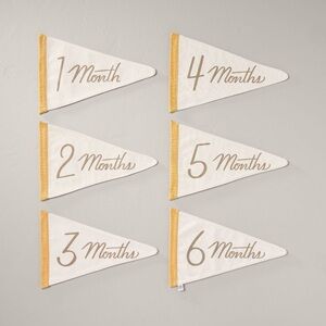 Newborn Milestone Pennants 6pc - Hearth & Hand™ with Magnolia